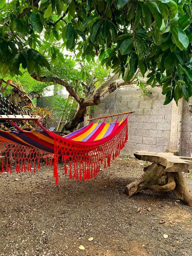 Guest house Galapagos Dove Hotel Puerto Ayora