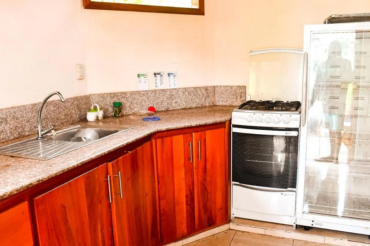 ** Guest house Galapagos Dove Hotel Puerto Ayora  Ecuador