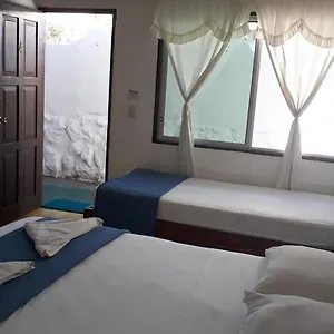 Darwin Puerto Ayora (Galapagos Islands)